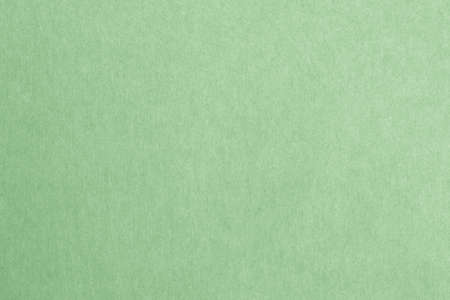 Recycled paper texture background in light green