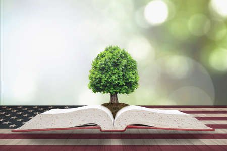Tree of knowledge/ life growing from big archive open textbook with USA flag pattern on aged wood table, blur natural green background. Read across america day concept.の写真素材