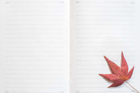 Blank note book paper texture line pattern background for handwriting with maple leaf frame
