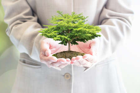 Sustainable eco friendly business investment concept in environment conservation and corporate social responsibility csr campaignの写真素材