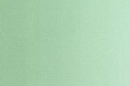 Blended cotton silk fabric textile wallpaper detailed texture pattern background in light yellow lime green colorの写真素材
