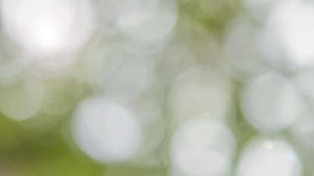 Green bokeh blur background of blurry greenery view looking upward to sky with sun light flare glowing in cyan green for spring and summer season colorの写真素材
