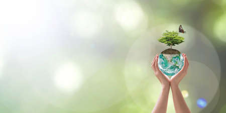 World environment day with tree planting and green planet earth on volunteering protection hands for...