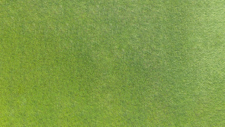 Green grass lawn texture background from top view for golf course turf with grassy pattern for environmental backdropの写真素材