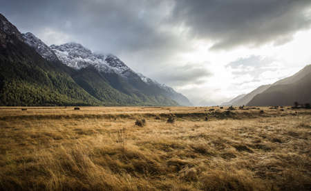 Eglinton Valley in the morningの写真素材