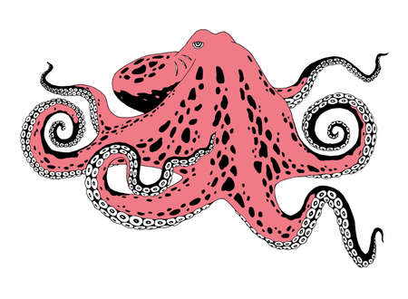 Octopus, single color filling, painted by ink penの写真素材