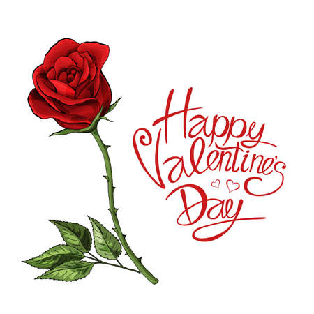 Valentine day love postcard template single red rose flower with letteringの写真素材