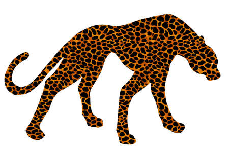 Drawn jaguar, leopard, wild cat, panther coloured silhouetteのイラスト素材