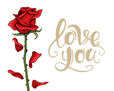 Hand drawn single flower red rose on white background with lettering. Design holiday happy Valentines day greeting card.のイラスト素材