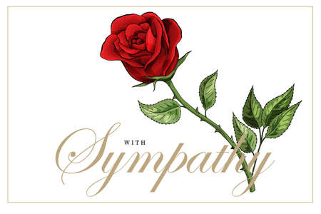 Condolences sympathy card floral red roses bouquet and letteringのイラスト素材