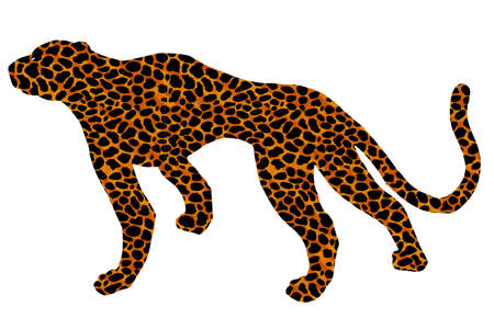 Drawn jaguar, leopard, wild cat, panther coloured silhouetteのイラスト素材