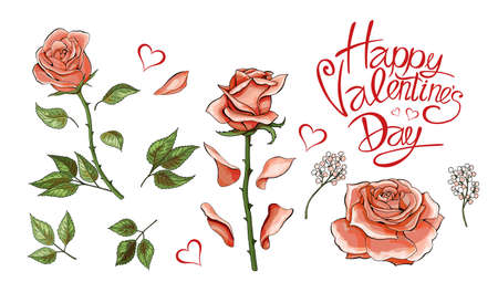 Pink roses hand drawn illustration elements colored setの写真素材