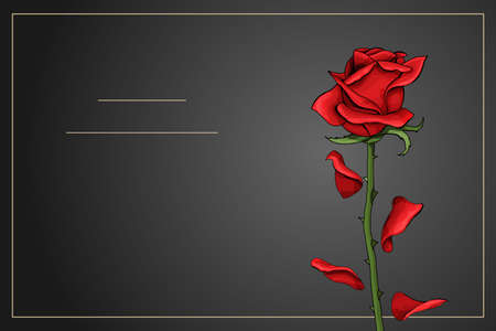 Red rose single flower on dark gray background vector templateのイラスト素材