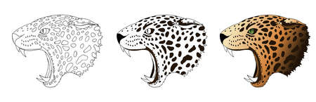 Vector angry leopard portrait. Jaguar predator head colored and doodle isolatedのイラスト素材
