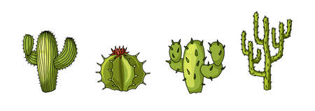 Cactus plants stickers templates set of desert. Realistic colored to natural green lime with shadows western vintage pictures isolated on white background.のイラスト素材