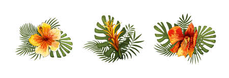 Exotic Flowers, Tropical Leaves. Orchids and Frangipani, Hawaiian plants. Monstera, Banana and Coconut Palm Leaves. Summer holidays, Wedding or Arrangement design elements. Vector floral illustrationsのイラスト素材