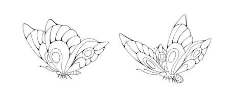 Zentangle stylized cartoon two butterflies isolated on white backgroundのイラスト素材