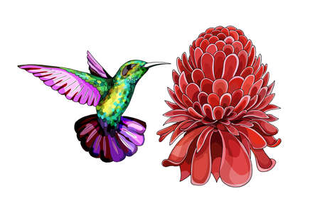 Cartoon halftone with Etlingera Elatior flower illustartion for print or design element with high details isolated on white background. Vector hand drown colored sketch.のイラスト素材