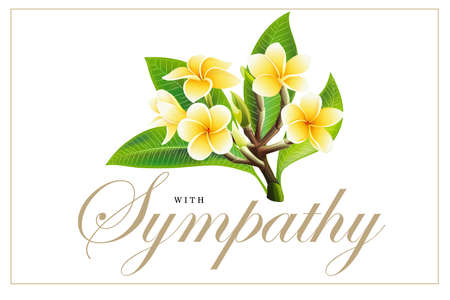 Golden frangipani or plumeria flowers with leaves, Design for invitation, wedding, sympathy condolences or greeting cards template. Vector Illustration Decorative bridal bouquet on white Backgroundのイラスト素材