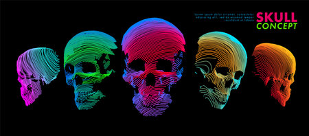 Art concept of a skull. Vector drawn by color lines. Minimal cover design. Creative line-art. Vector template brochures, flyers, presentations, logo, print, leaflet, banners.のイラスト素材