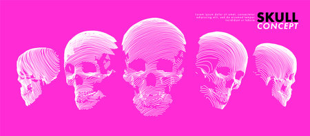 Art concept set of a skull. Vector drawn by lines. Cover design. Creative line-art. Vector template brochures, flyers, presentations, logo, print, leaflet, banners.のイラスト素材