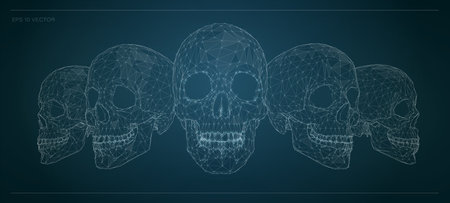 Set of sculls. Low poly vector illustration of a mesh . Illustration consists of lines, dots and shapes. Wireframe connection structure.のイラスト素材