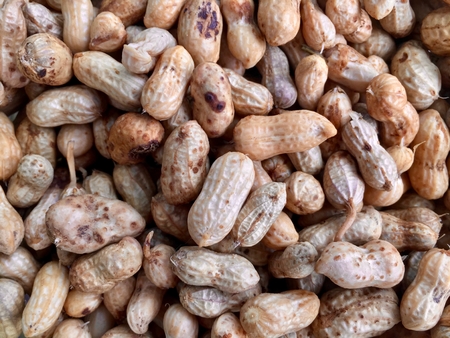 Closeup of Peanuts as wallpaper