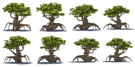 Stylized tree side view on white background rendered の写真素材