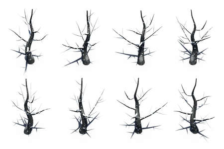 Black tree with snow isolate high angle view rendering on white background の写真素材