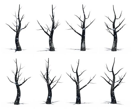 Black tree with snow isolate side view rendering on white background の写真素材