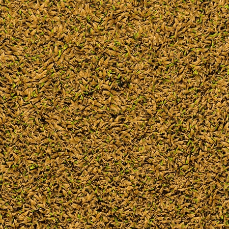 Lawn brown grass texture top view rendered の写真素材