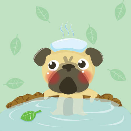 pug relax in warm water,dog lovelyのイラスト素材