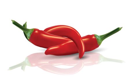 Hot red Chilies with reflectionのイラスト素材