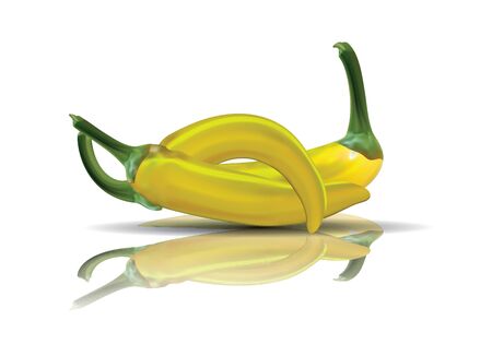 Hot yellow Chilies with reflectionのイラスト素材