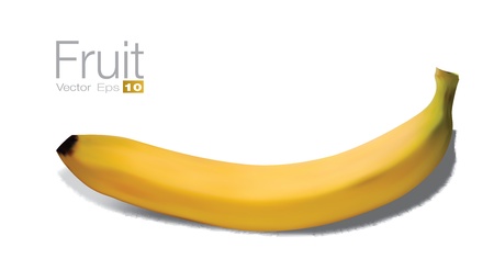 High detailed Banana in scalable vector format のイラスト素材
