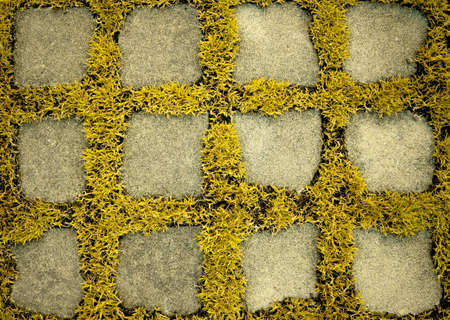 Yellow grass, lawn, square tiles