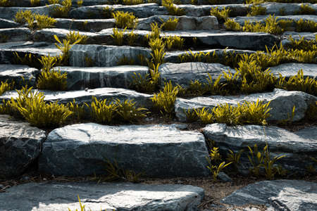 stones with grassの写真素材