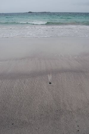 A Single shell on a beach in Norwayの写真素材