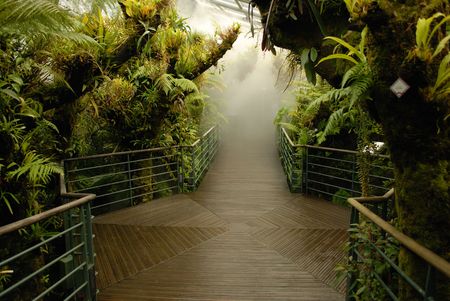 Botanic gardens in Singaporeの写真素材