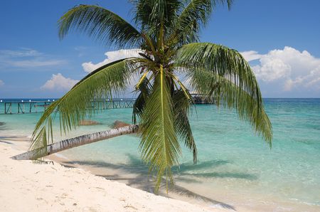 Tioman Island, Malaysiaの写真素材