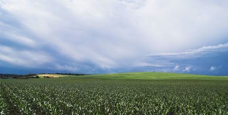 Landscapeの写真素材