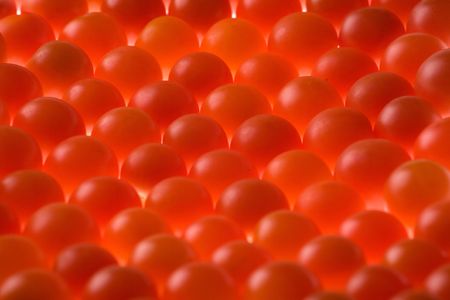 Tomatoesの写真素材