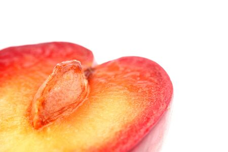 plum macroの写真素材