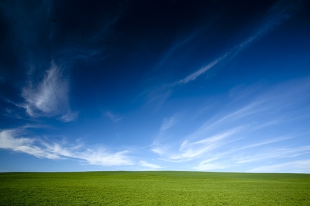 green grass and blue sky の写真素材
