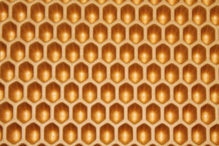 texture yellow cells close up