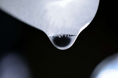 Melting ice cube macro photoの写真素材