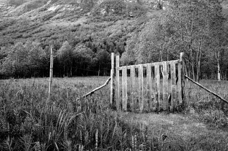 old fence gate and field monochromeの写真素材