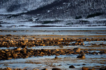 majestic long rocky shoreline at low tide with snowy mountain in background