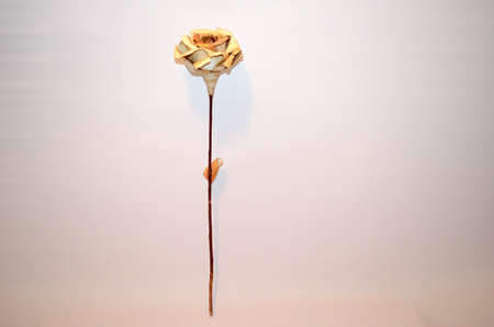 beautiful homemade birch bark roseの写真素材