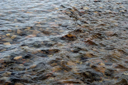 Shallow river flowの写真素材